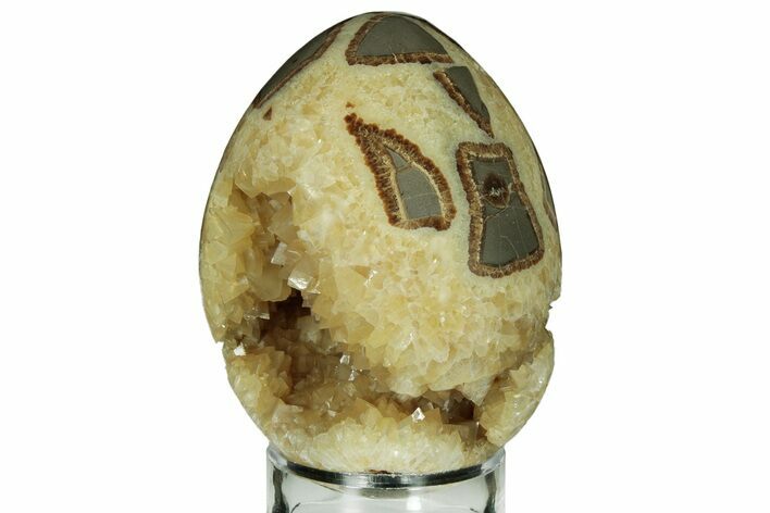 Calcite Crystal Filled Septarian Geode Egg - Utah #206746